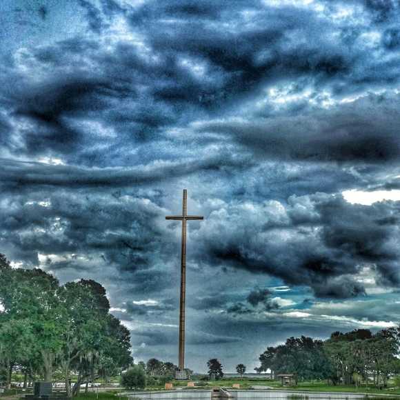 Meet your Posher, Darlee C.  Poshmark Ambassador - Picture 11 of 16